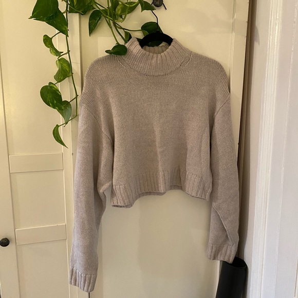 Aritzia Sweaters - Aritzia Knit Turtleneck
